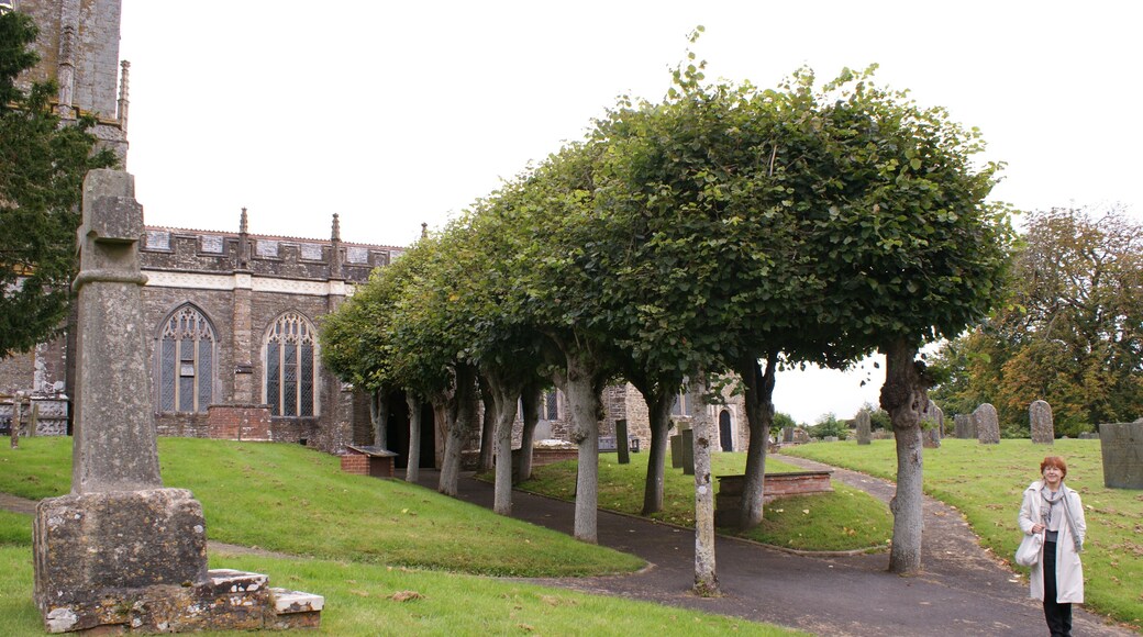 Avenue of lime trees leading up to the porch of the Early 16th Century Perpendicular church of St. Heiratha's, Chittlehampton, 09/13.
