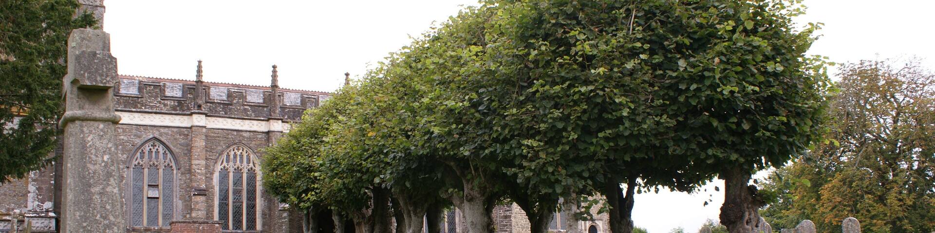 Avenue of lime trees leading up to the porch of the Early 16th Century Perpendicular church of St. Heiratha's, Chittlehampton, 09/13.