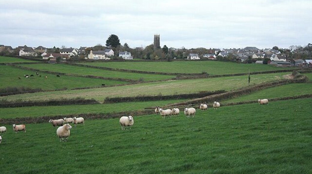 High Bickington: towards the village Seen from an old lane to Quicks