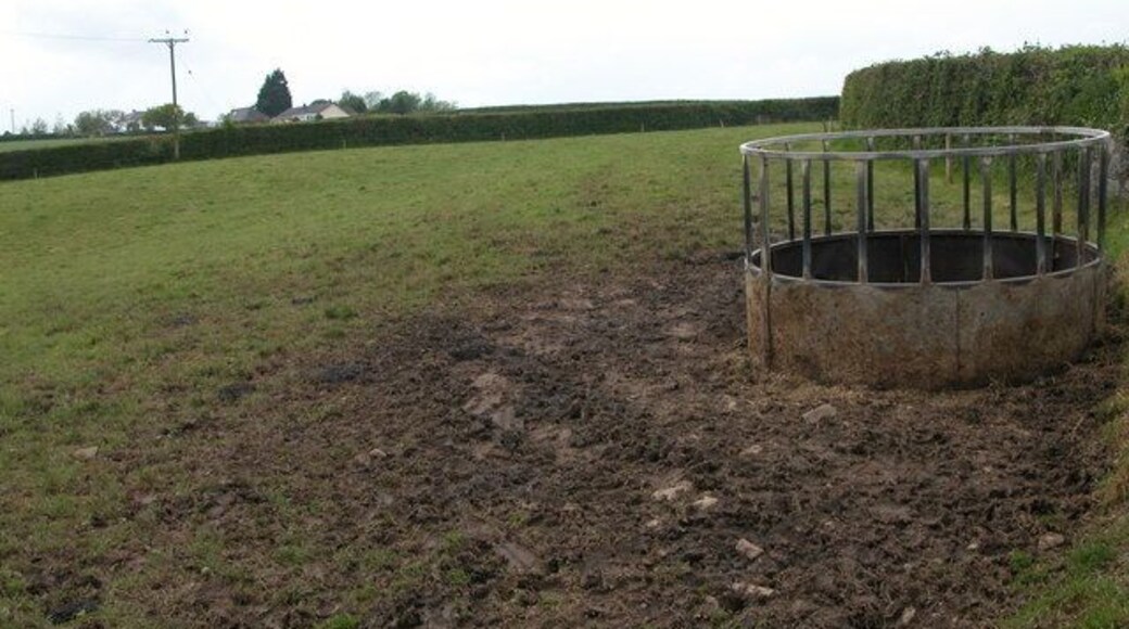 Cattle feeder near Bircham Farm.