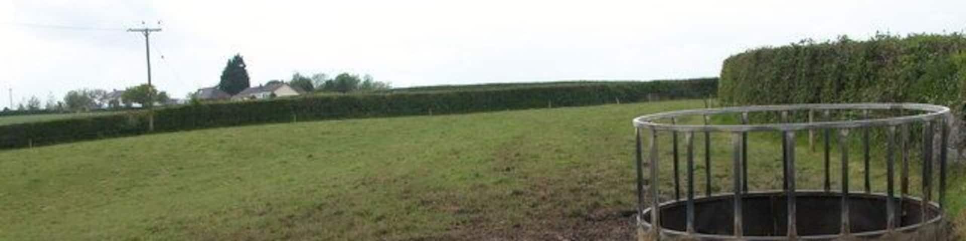 Cattle feeder near Bircham Farm.