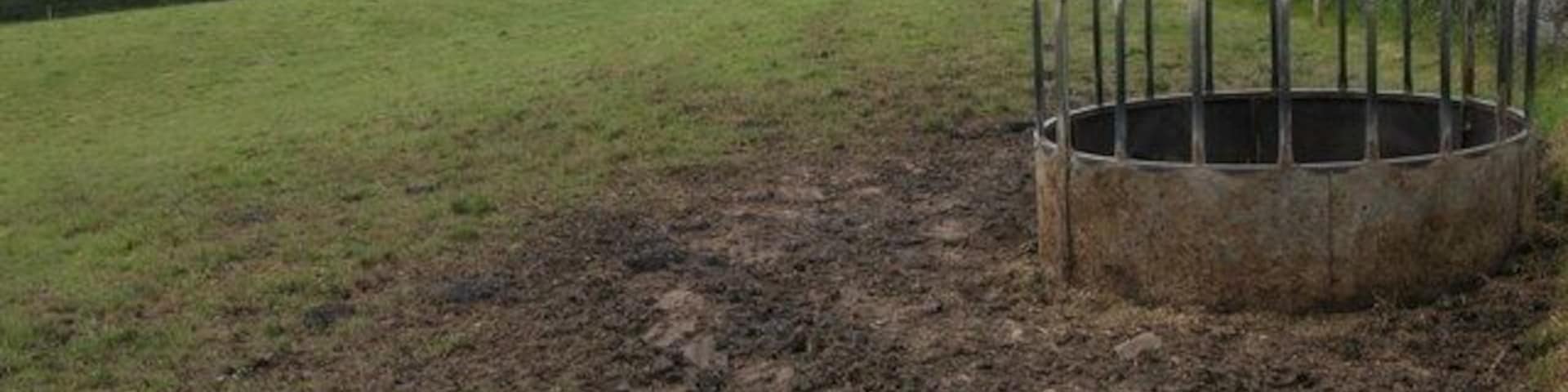 Cattle feeder near Bircham Farm.