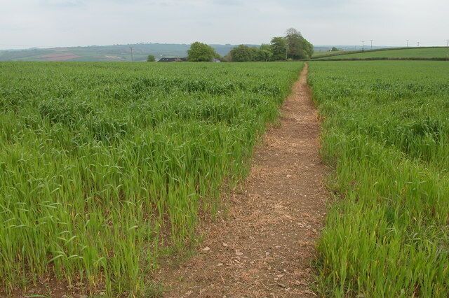 Footpath to Hayne Barton. The footpath passes through this field from the village of Burrington to a farm at Hayne Barton.