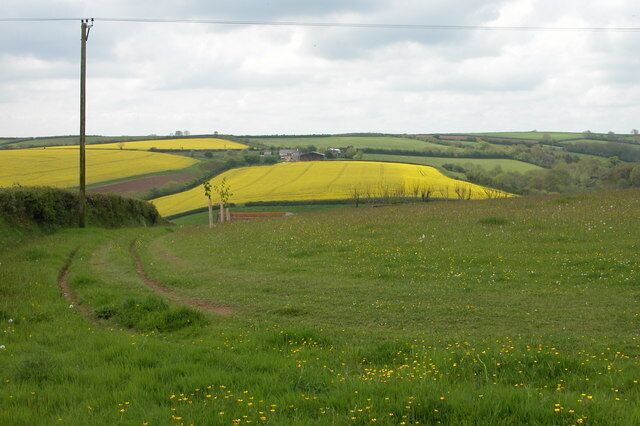A rural landscape with a dirt path, rolling hills, and fields of yellow flowers.