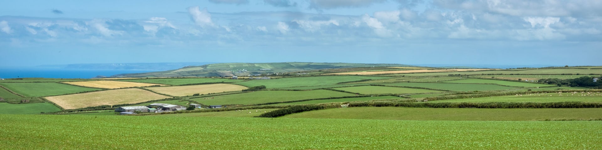 farm and fields in north devon landscape near clovelly