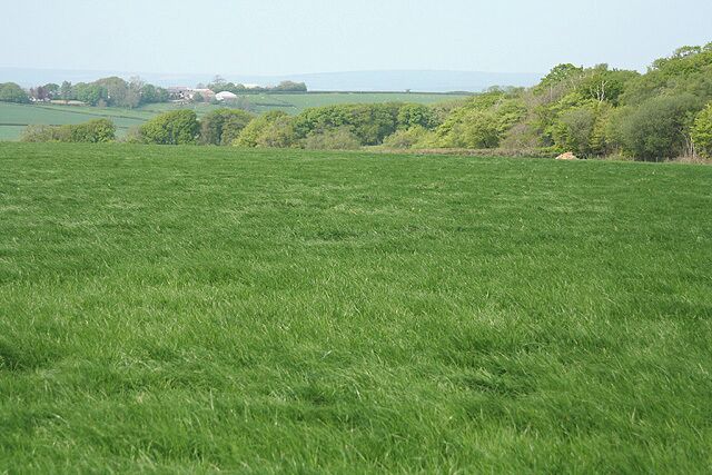 Kings Nympton: on Broomham Moor Looking north-north-east towards Highridge. Seen from the diverted public bridleway between Kingstreet and Beara Cross
