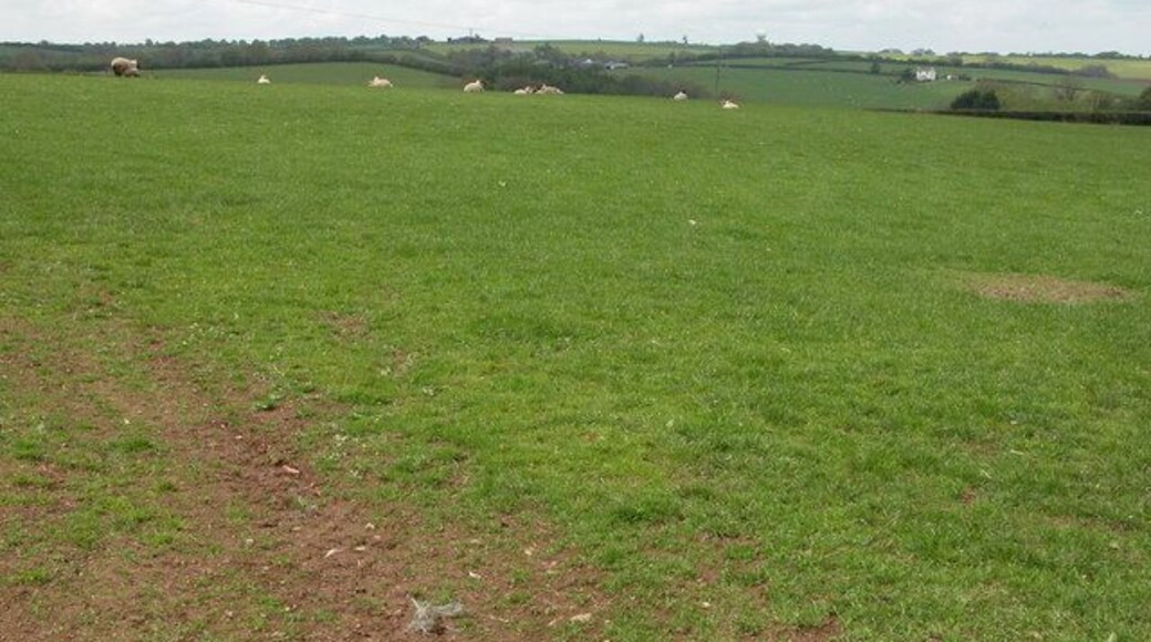 Farmland to the west of Burrington. On the horizon the radar station near Barnstaple Cross can be seen.