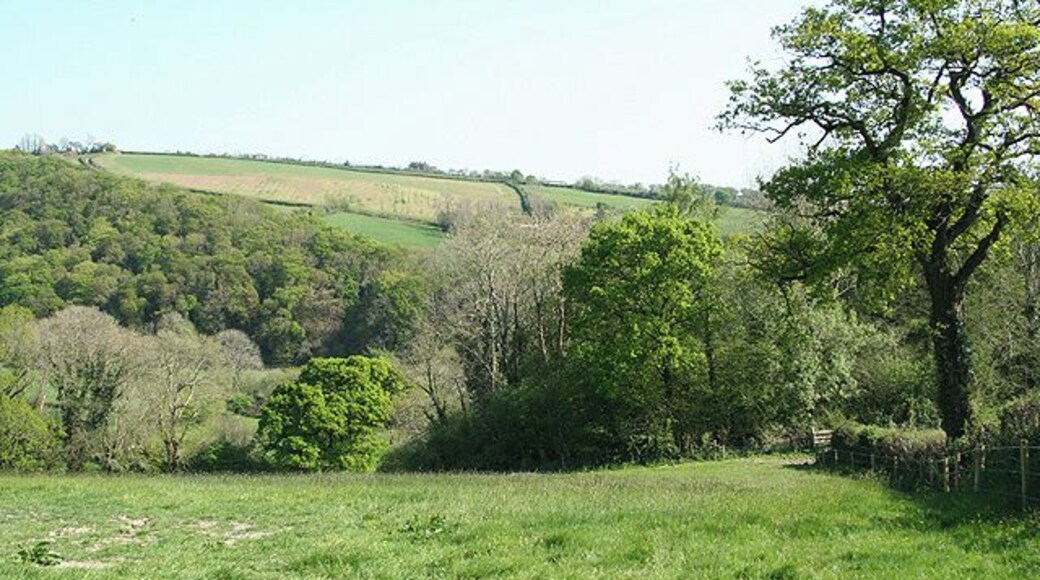 Satterleigh and Warkleigh: above the Mole valley Looking south-south-east