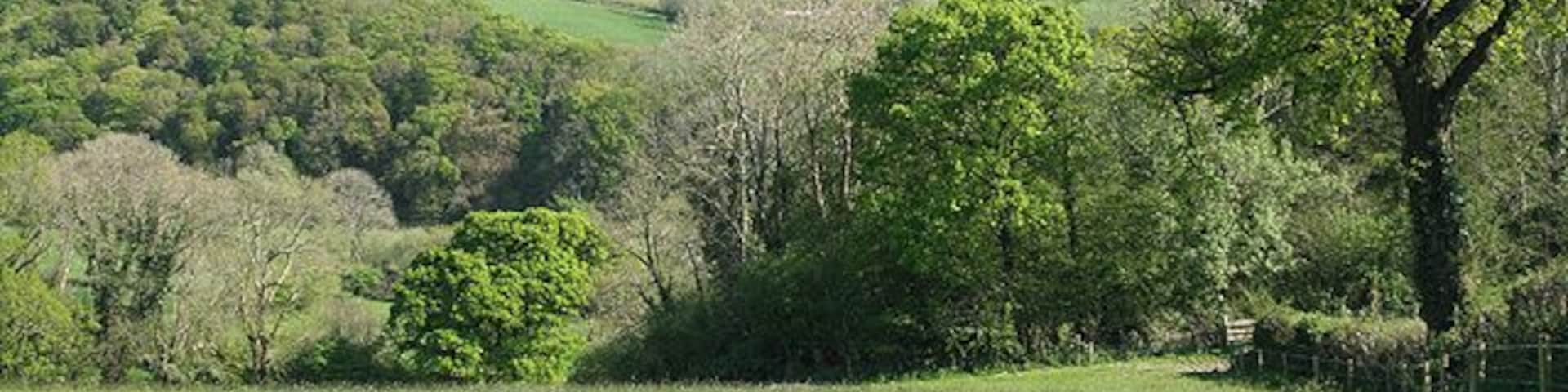 Satterleigh and Warkleigh: above the Mole valley Looking south-south-east