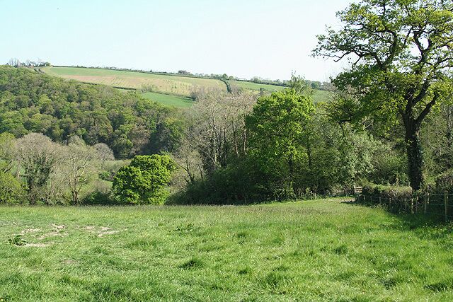 A grassy field with trees and a distant view of rolling hills.