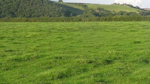 From the walk to the lake, Umberleigh Caravan site. August 2011