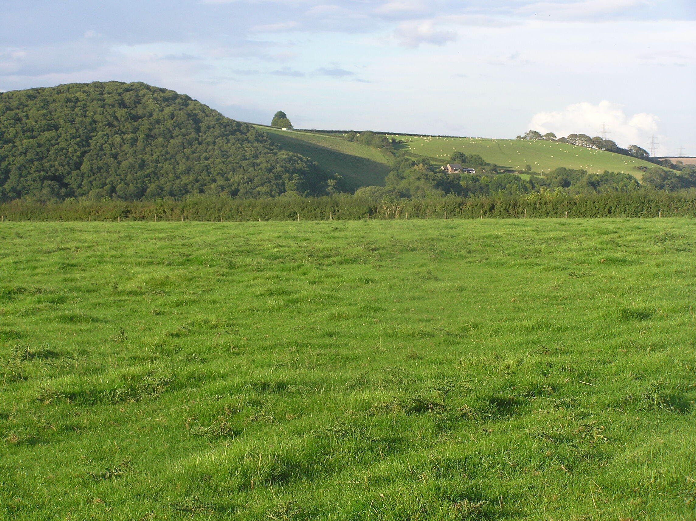A green field with a hill in the background and a few scattered houses.