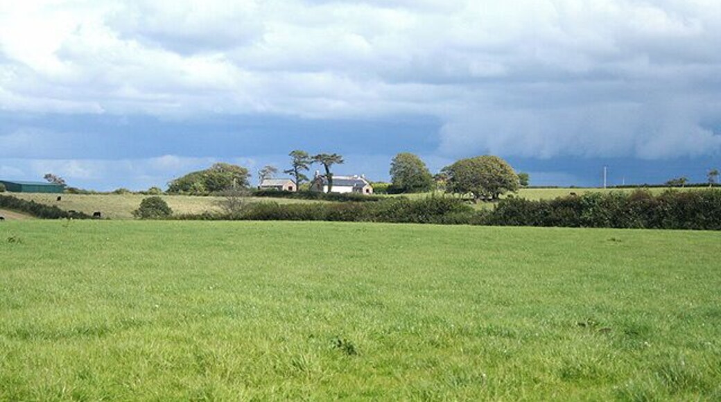 High Bickington: Lee Barton Seen from the road between North Heale and Lee Cross