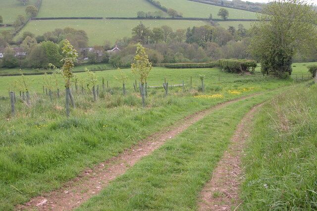 Bridleway to Mullybrook Mill. Mullybrook Mill can just be seen among the trees in the valley.