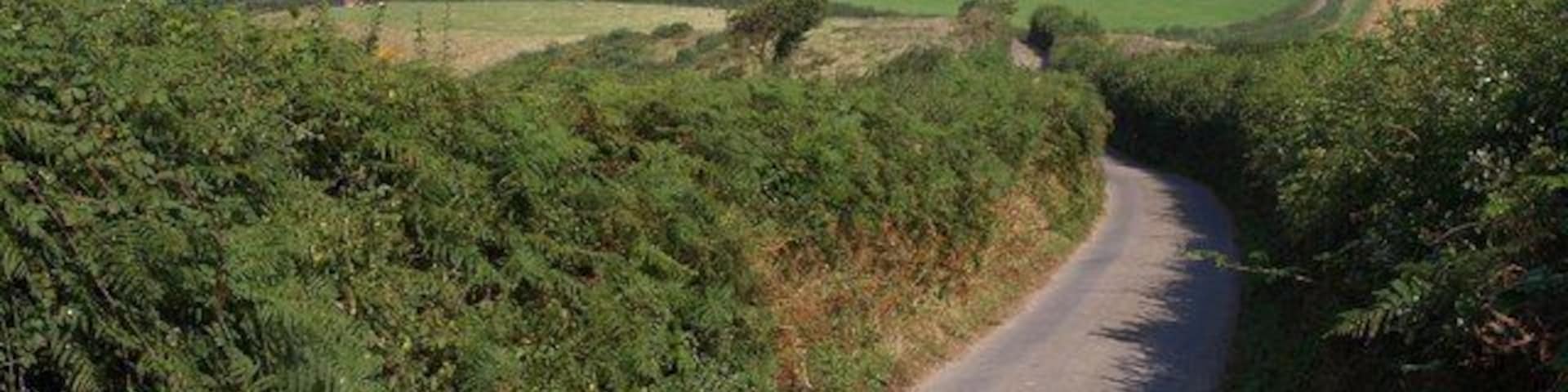Lane near Ley Farm Superb views from this lane which descends a ridge between the Taw valley on the right, and one of its minor tributaries in the well-wooded valley on the left.