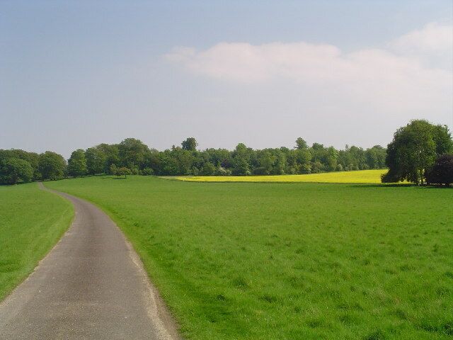 Charborough Park, near Wimborne Dorset. The private grounds of Charborough House are only open to the public once or twice a year, when the local villagers sell tea and cakes. We have driven past this place for many years, there's an incredibly long boundary wall running along the A31, and a tantalising glimpse into the grounds when you pass the impressive gates.