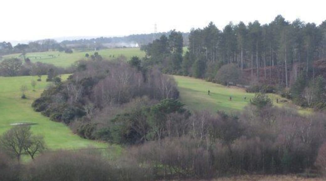 Wareham Forest Walk Wareham Golf Course.