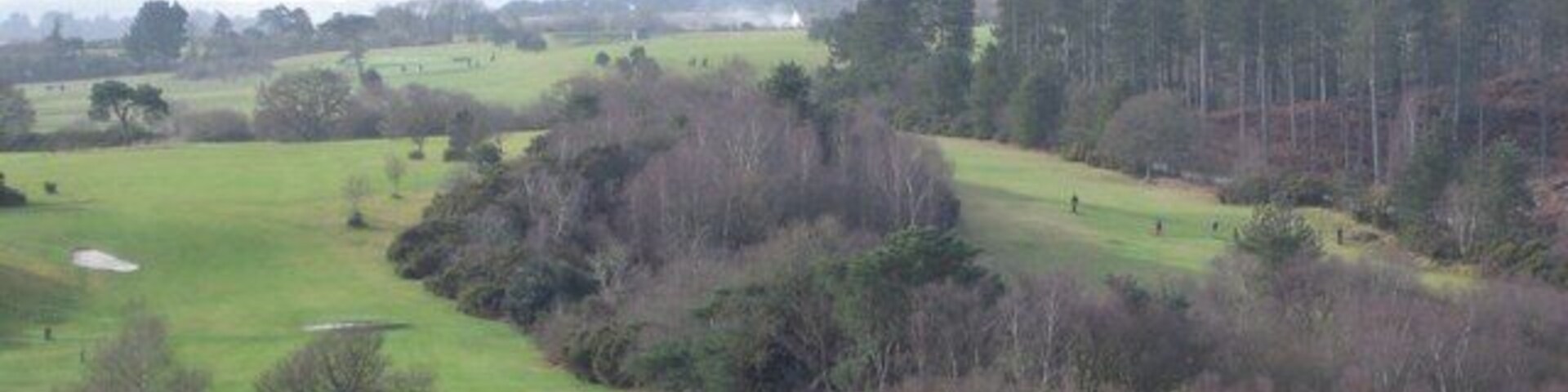 Un campo de golf con un estanque, rodeado de árboles y praderas abiertas.