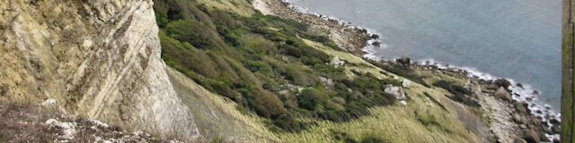 Brandy Bay The coast from Gad Cliff.