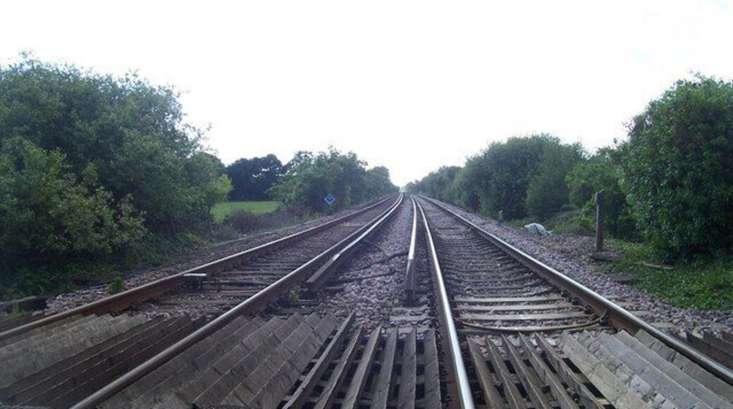 Holmebridge : Crossing the Railway A railway crossing near Holmebridge in Dorset