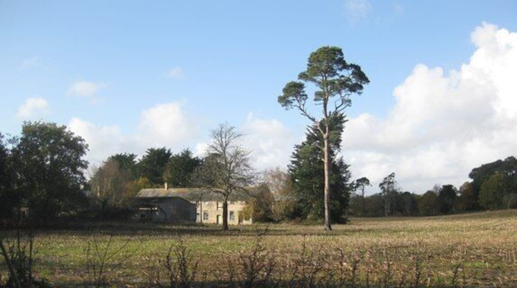 Sandford near Wareham Farm buildings just west of the A351 leaving Sandford towards Poole