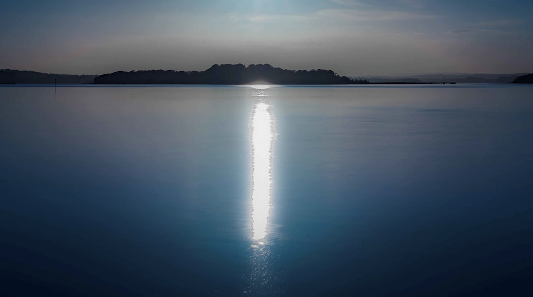#BVSBlue Sunrise over Poole bay from the Arne peninsula. Titled the photo 'Blue Planet'.