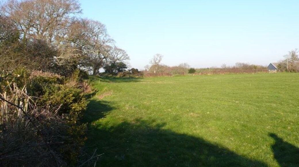 Woodbury Hill Fair field This is field in which the great fair was held for 5 days in september for 700 years, the last one being in 1951. The hill is an old fort and this is the view NNE along the ramparts