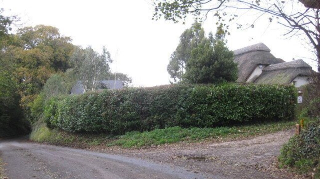 Coombe Keynes Kick Hill Farm Coombe Keynes