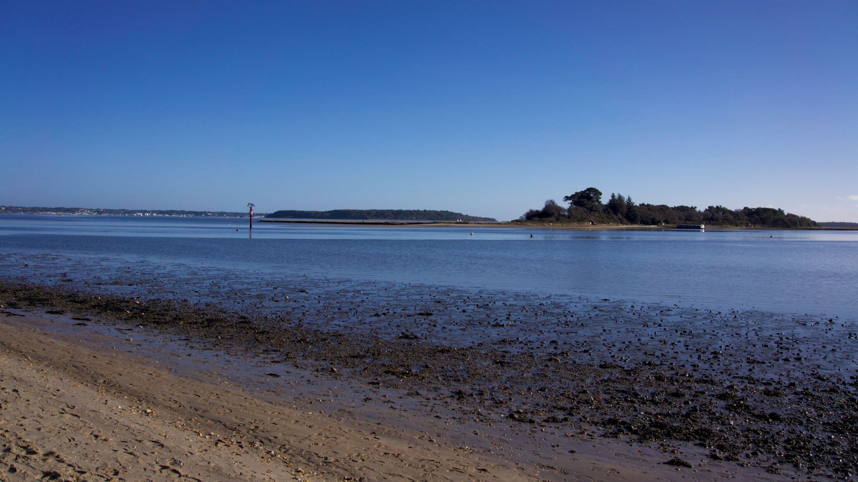 We visited Arne this morning - and so did the rest of Dorset! I have never seen it so busy. The skies were blue, it was pleasantly mild and even a Red Admiral butterfly was seen flying by.