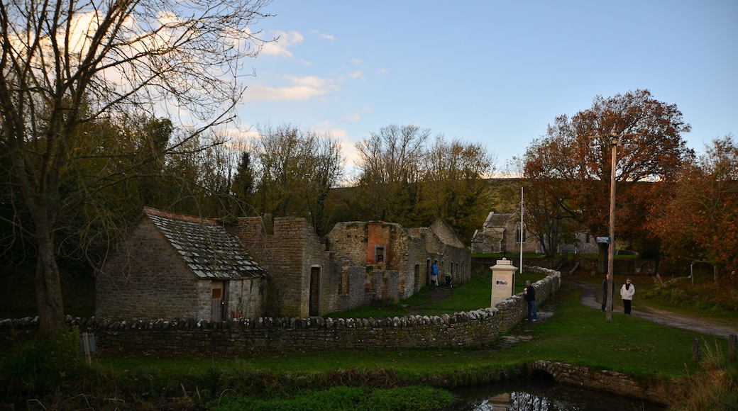 Tyneham, Evening light - Autumn