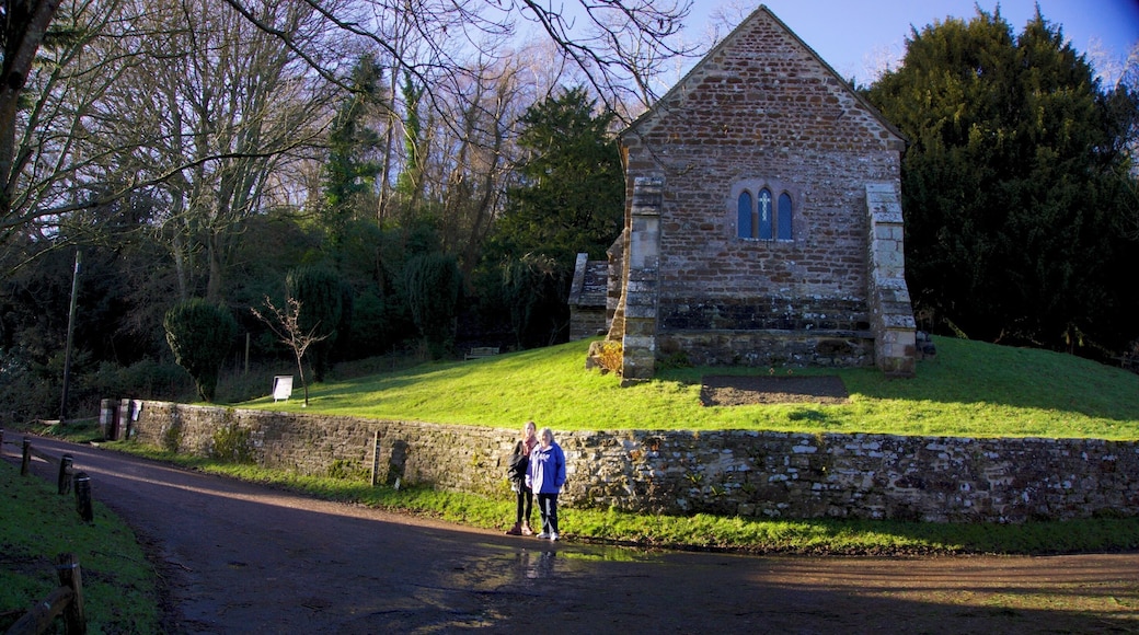 We visited Arne this morning - and so did the rest of Dorset! I have never seen it so busy. The skies were blue, it was pleasantly mild and even a Red Admiral butterfly was seen flying by.