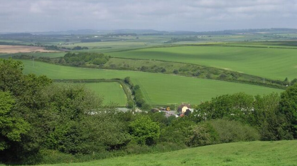 Farmland north of Bere Regis. Looking down on the grid square from Woodbury Hill hillfort. The cutting containing the A35 Bere Regis bypass can be seen across the centre of the photo.