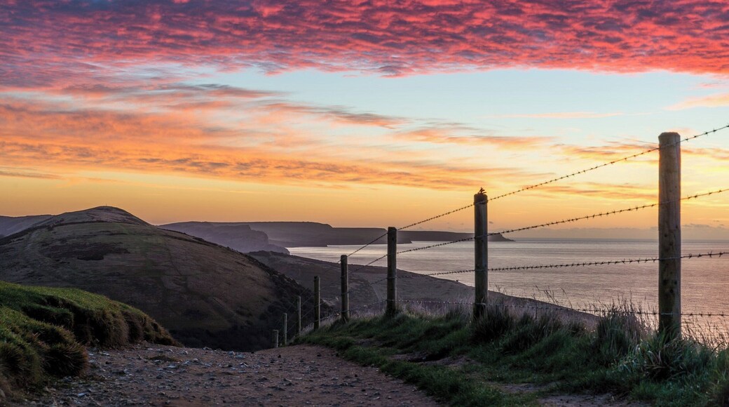 Heck of a trek to the top of the hill between Lulworth Cove and Man O'War Beach. Worth it though