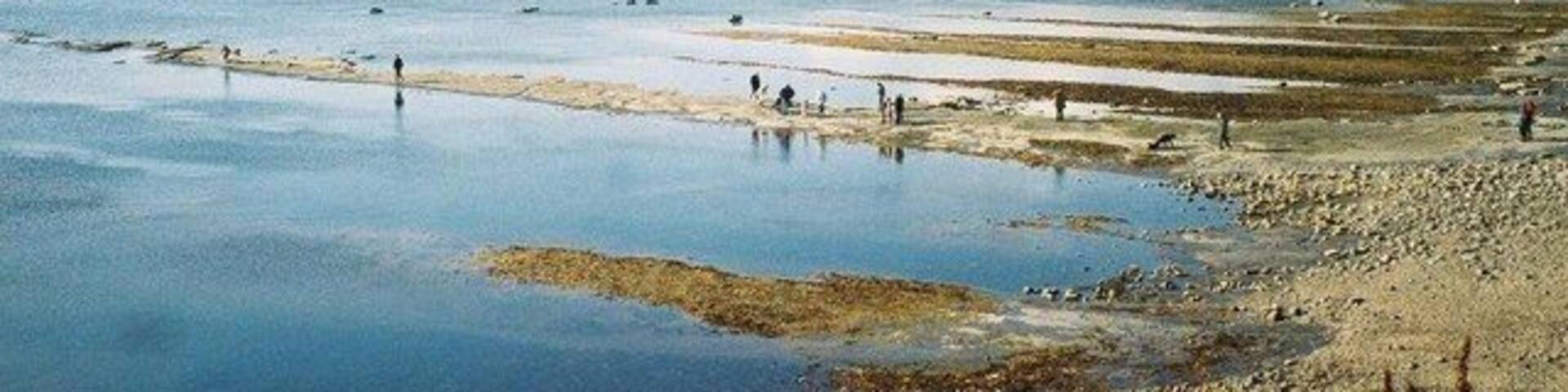 Kimmeridge: across the bay Looking across Kimmeridge Bay, where low tide has revealed the ledges.