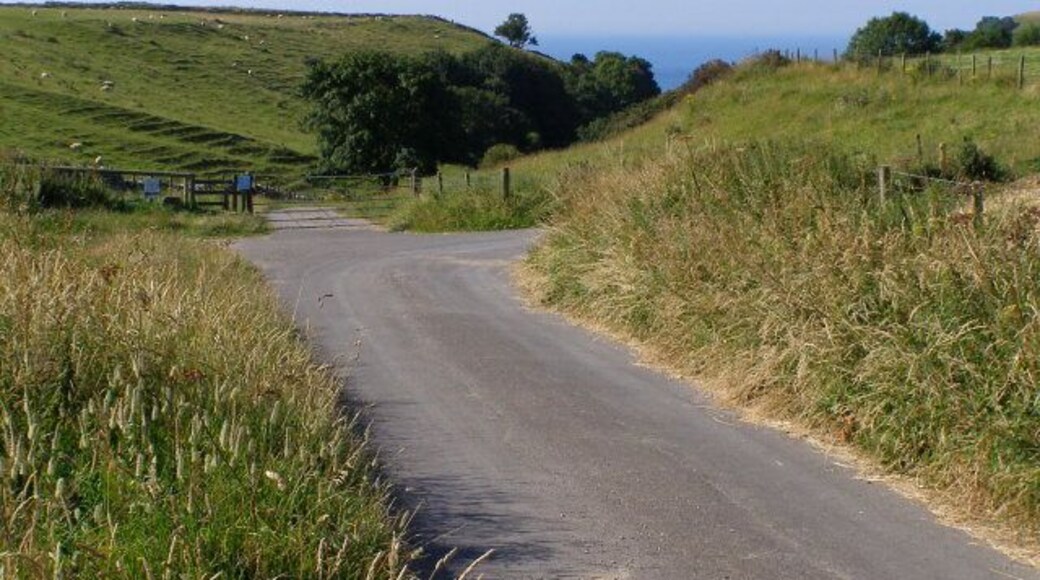 The southern end of South Street, Kingston The lane that leads south out of Kingston village is called South Street. This is its southern end. The track leads off to the right to Westhill Farm. Straight on is a private road and public footpath that leads down the combe to Chapman's Pool.