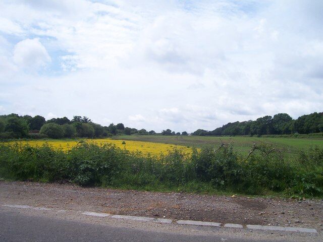 Dorset : Field Beside the B3070 A view as you drive along the road