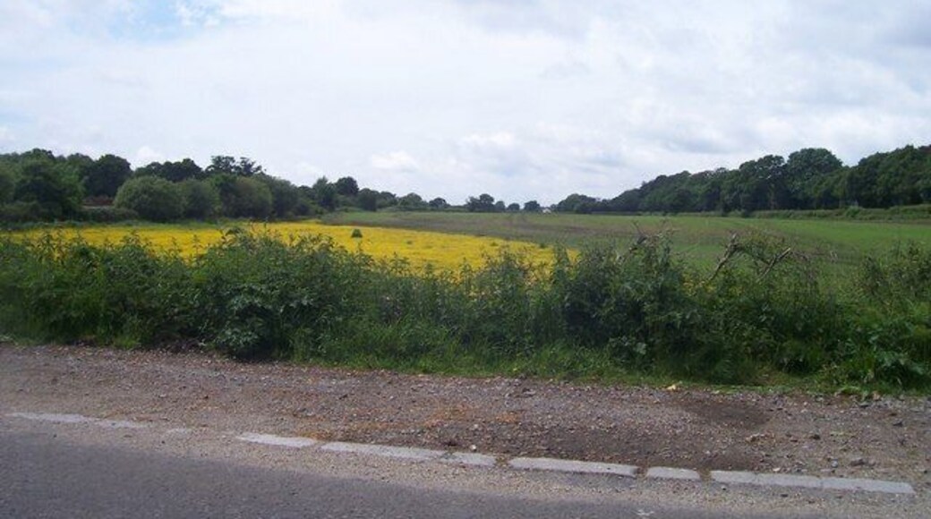 Dorset : Field Beside the B3070 A view as you drive along the road
