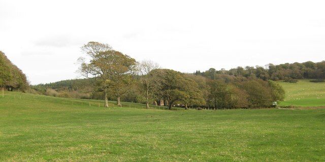 A grassy field with scattered trees and a hilly landscape in the background.