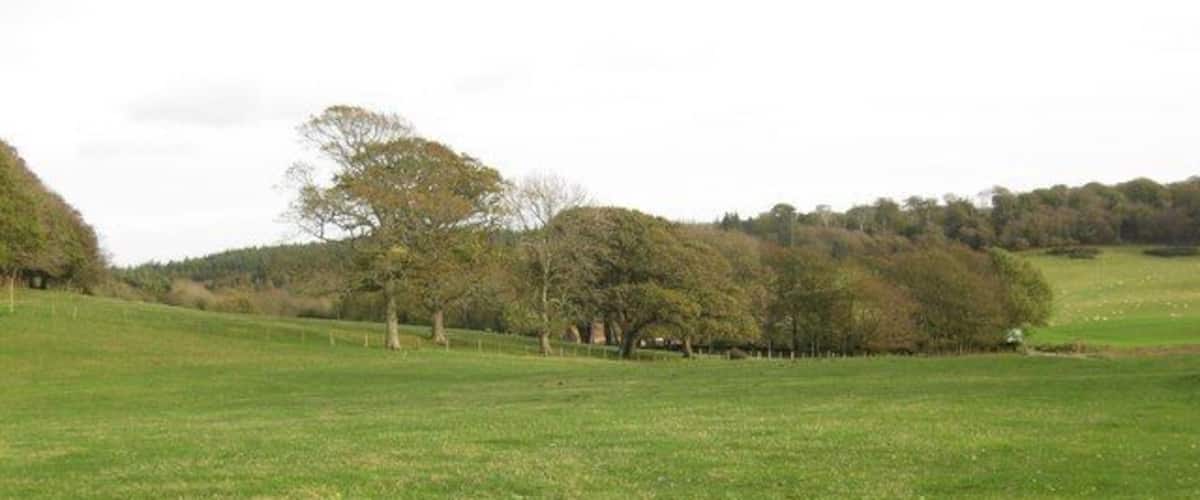 A grassy field with scattered trees and a hilly landscape in the background.