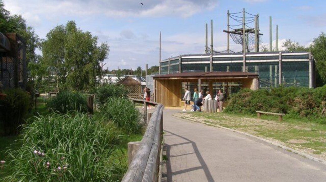 Within Monkey World Monkey World is an ape and monkey sanctuary and zoo, open to the public. On the left is the gibbon enclosure. The orangutan nursery is straight ahead.