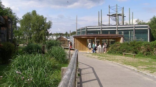 Within Monkey World Monkey World is an ape and monkey sanctuary and zoo, open to the public. On the left is the gibbon enclosure. The orangutan nursery is straight ahead.