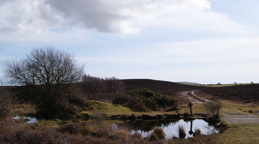Hartland Moor National Nature Reserve EWS Emergency Water Supply