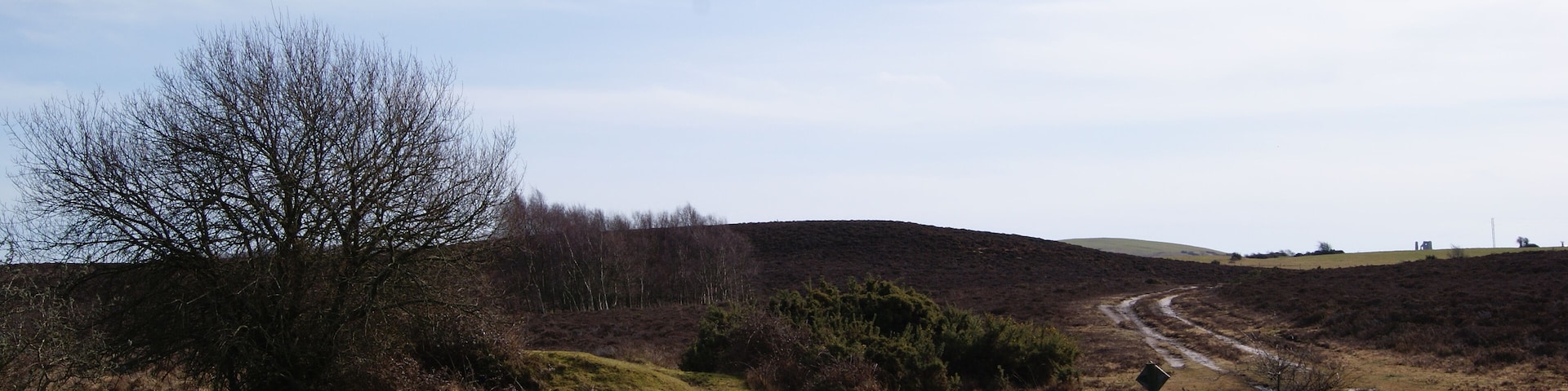 Hartland Moor National Nature Reserve EWS Emergency Water Supply