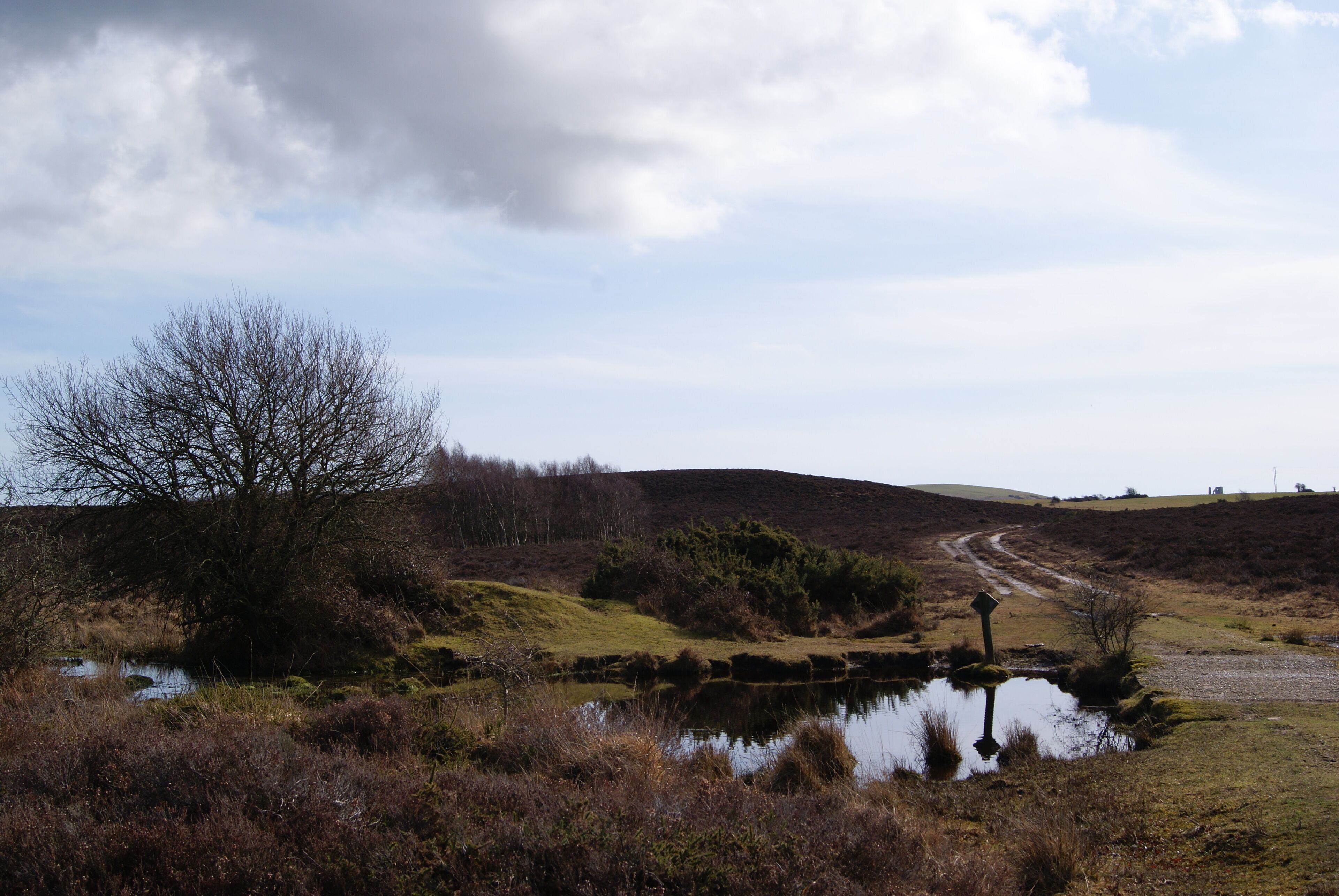 A rural landscape with a pond, a dirt path, and a hill in the background.