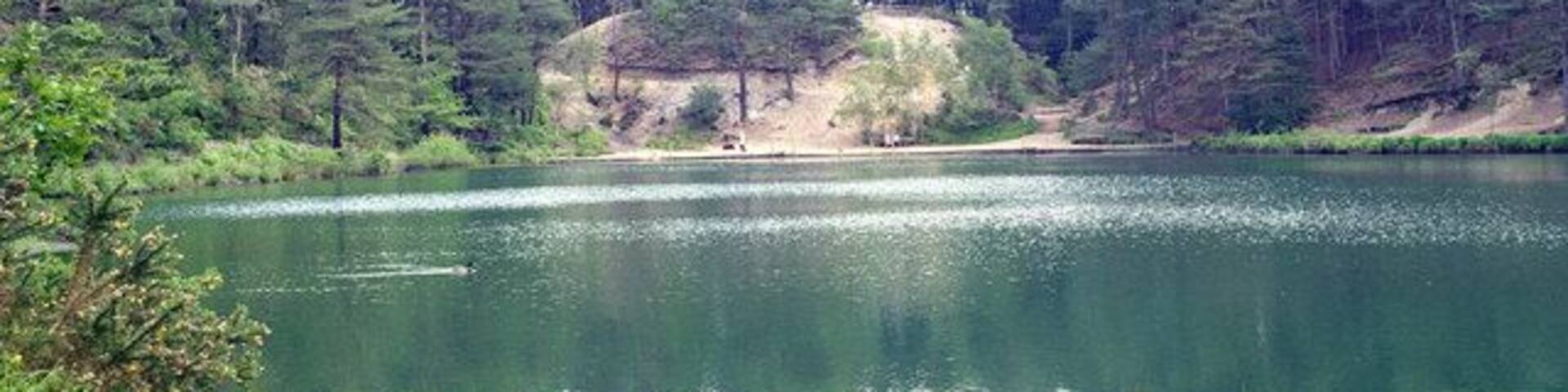 A calm lake surrounded by dense forest and a sandy shoreline.