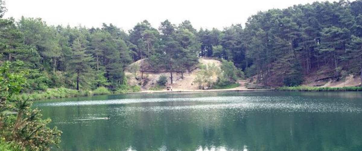 A calm lake surrounded by dense forest and a sandy shoreline.