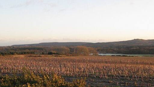 Worgret Hill - Wareham View from the west side of Worgret Hill towards the Purbeck Hills,across the stubble field to the river Frome in flood. The hill to the right is Creech Barrow SY9282. Corfe Castle is just visible to the left end of the hills.