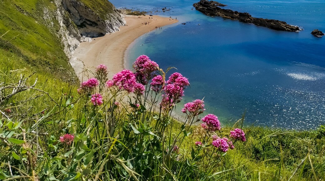 Directly opposite the crowds of Durdle Door, this beach is equally attractive, and a lot quieter #lifeatexpedia #beaches #dorset