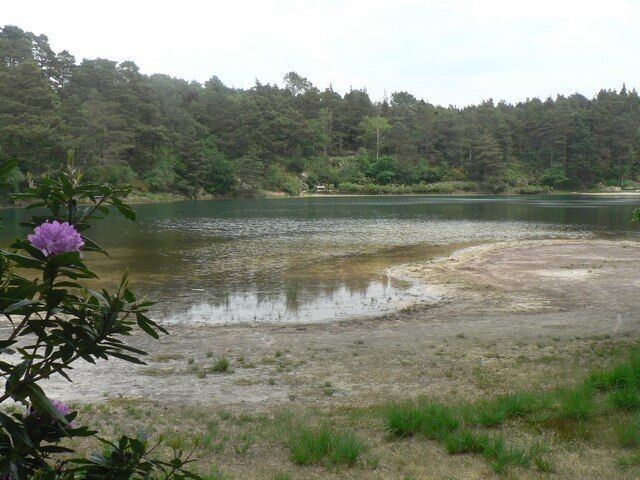Furzebrook: the edge of Blue Pool Another view of 823160.