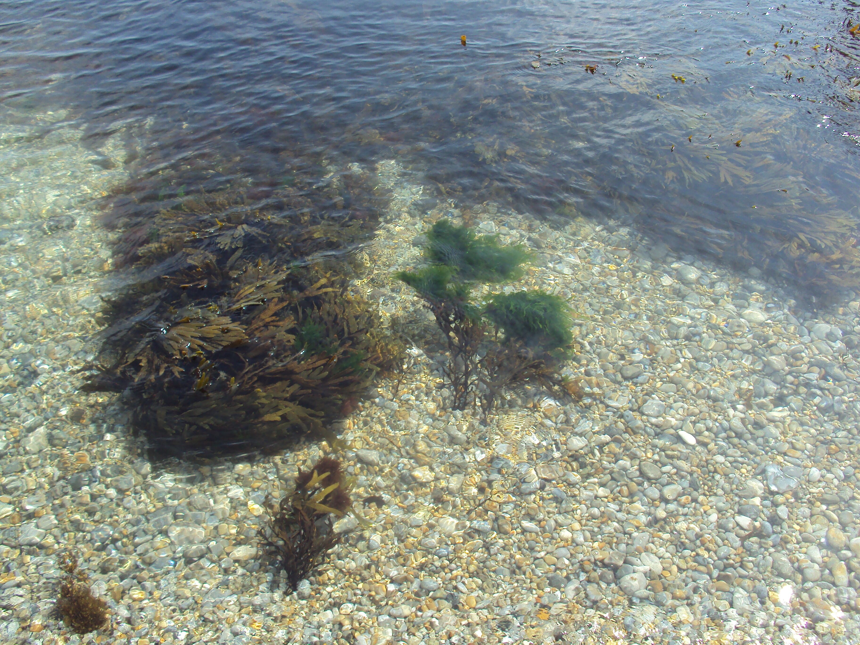 Chaldon Herring, Dorchester DT2 8DW, UK